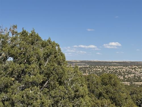 Build Atop a Hill with Scenic Views : Concho : Apache County : Arizona