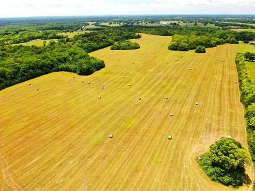 Hobbie Road Farm : Snowdoun : Montgomery County : Alabama