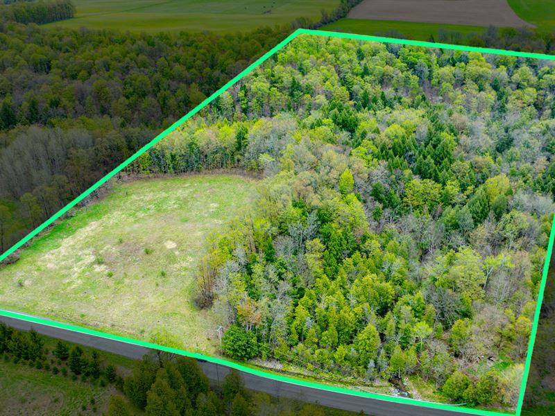 14+ Acres with Stream in Cazenovia : Fenner : Madison County : New York