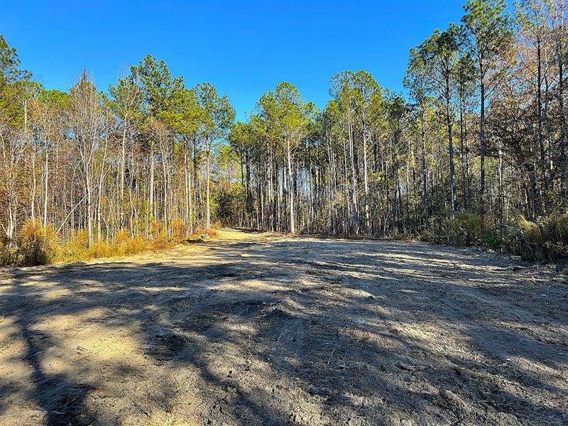 East Cotton Farm : Eclectic : Elmore County : Alabama