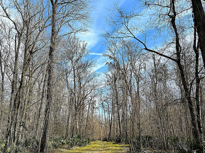 Seven Bridges Road Farm : Montgomery : Montgomery County : Alabama
