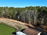 Wooded with All Utilities : Elloree : Orangeburg County : South Carolina