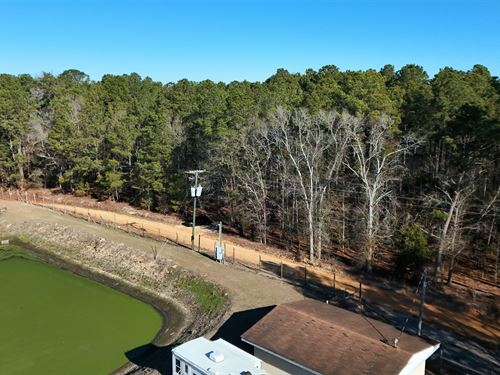 Wooded with All Utilities : Elloree : Orangeburg County : South Carolina