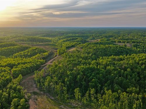 1,871 Acres in Centerville, Tennessee : Centerville : Hickman County : Tennessee