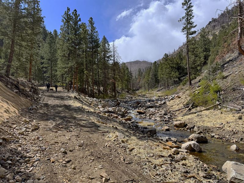Black Hollow Retreat : Bellvue : Larimer County : Colorado