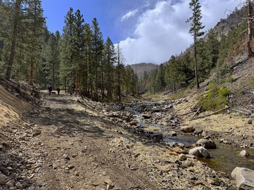 Black Hollow Retreat : Bellvue : Larimer County : Colorado
