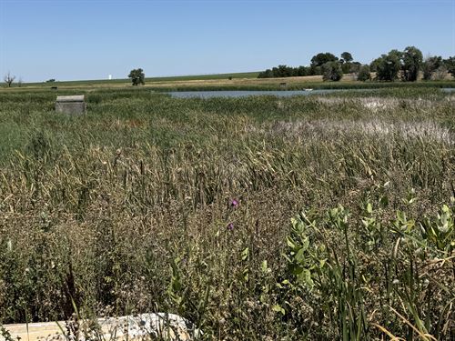 Waterfowl And Upland Bird Haven : Kersey : Weld County : Colorado