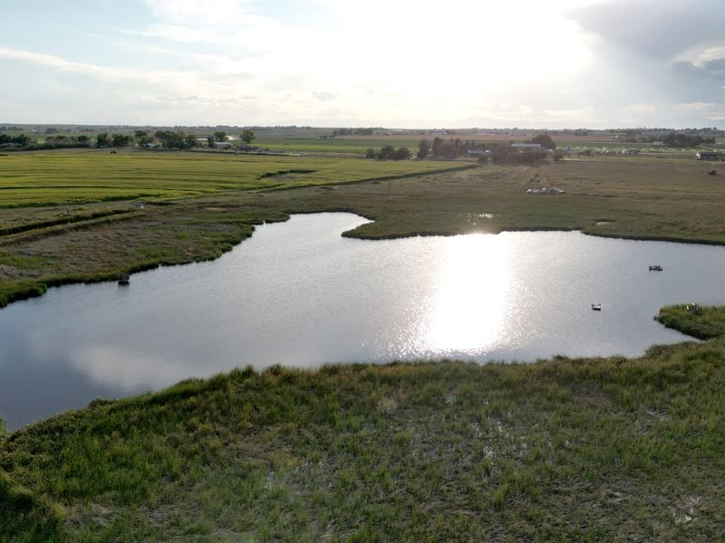 Waterfowl and Upland Bird Haven : Kersey : Weld County : Colorado