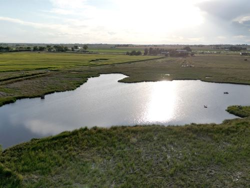 Waterfowl And Upland Bird Haven : Kersey : Weld County : Colorado