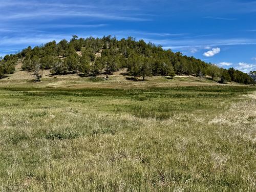 River Valley Reserve Phase II : Durango : La Plata County : Colorado