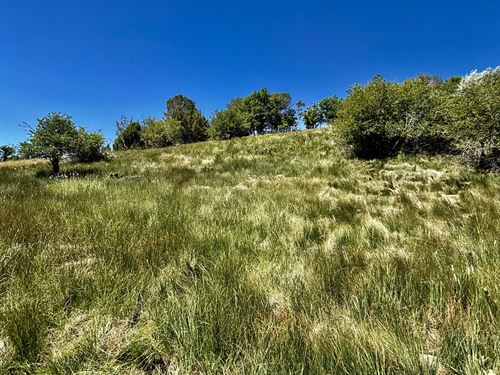 Valley View Ranch : Durango : La Plata County : Colorado