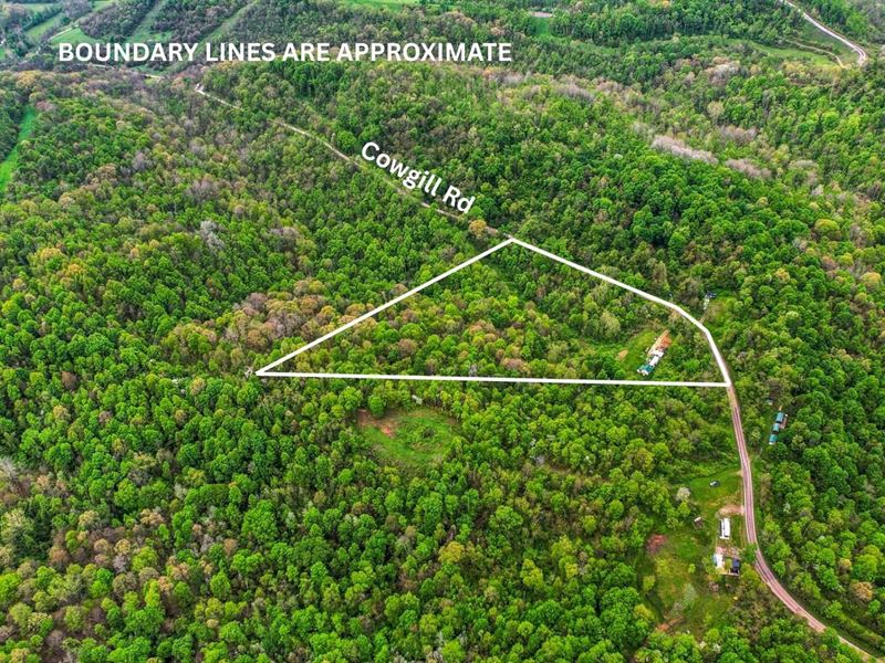 Cowgill Rd, 10 Acres : Sarahsville : Noble County : Ohio