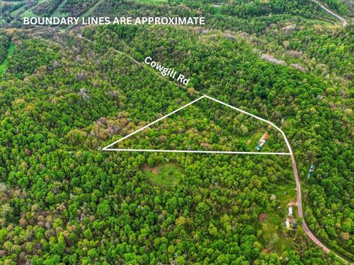Cowgill Rd, 10 Acres : Sarahsville : Noble County : Ohio