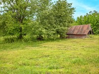 Secluded North MS Homesite Featurin : Batesville : Panola County : Mississippi