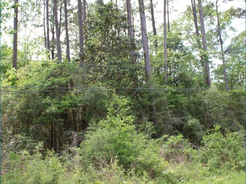 .79 Acre Residential Lot in Washin : Bogalusa : Washington Parish : Louisiana