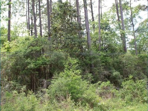 .79 Acre Residential Lot in Washin : Bogalusa : Washington Parish : Louisiana