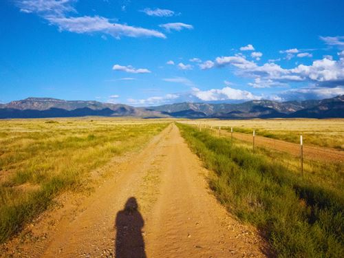 Your Desert Escape, NM : Belen : Valencia County : New Mexico