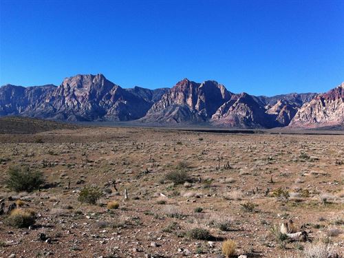 Escape The Noise. Own The Freedom : Montello : Elko County : Nevada