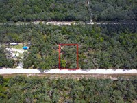 Suwannee Highlands Lot Live Oak : Live Oak : Suwannee County : Florida