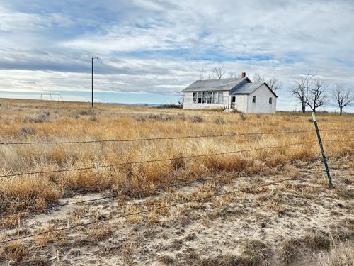 Premier Pivot & Grass Pasture : Huntley : Goshen County : Wyoming