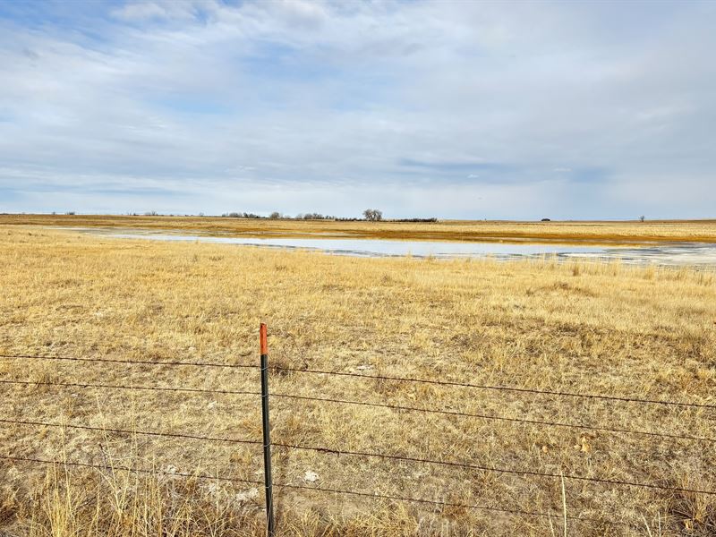 Premier Pivot & Grass Pasture : Huntley : Goshen County : Wyoming