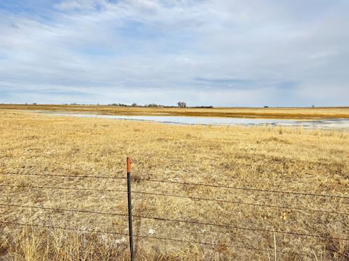 Premier Pivot & Grass Pasture : Huntley : Goshen County : Wyoming