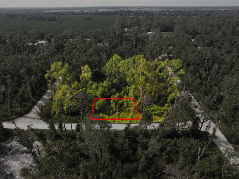 Lot in Live Oak, Room To Expand : Live Oak : Suwannee County : Florida