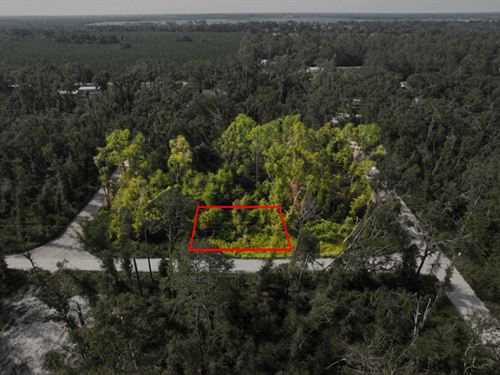 Lot in Live Oak, Room To Expand : Live Oak : Suwannee County : Florida