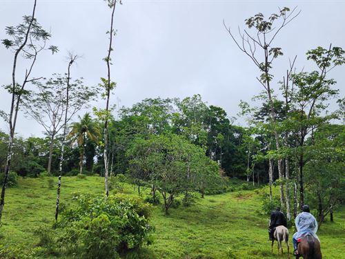 Beautiful Farmland Near LA Fortuna : Guatuso : Costa Rica