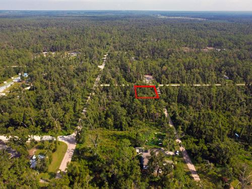 Open Layout Lot with Room To Expand : Live Oak : Suwannee County : Florida