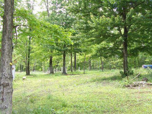Well, Power Pole and Cleared Area : Spring City : Bledsoe County : Tennessee