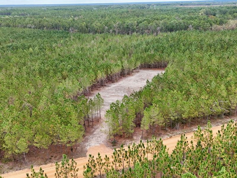 Tract 7 & 8, Penny Morris Road, Ba : Baxley : Appling County : Georgia
