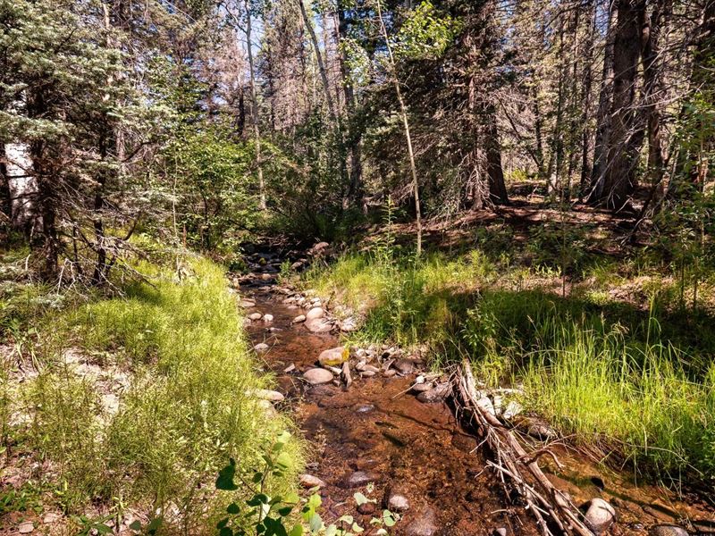 County Road 46, Aguilar, CO 81 : Aguilar : Las Animas County : Colorado
