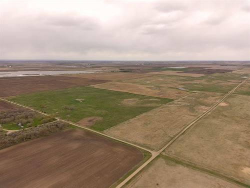478 Acres, Income-Producing : Barnard : Brown County : South Dakota