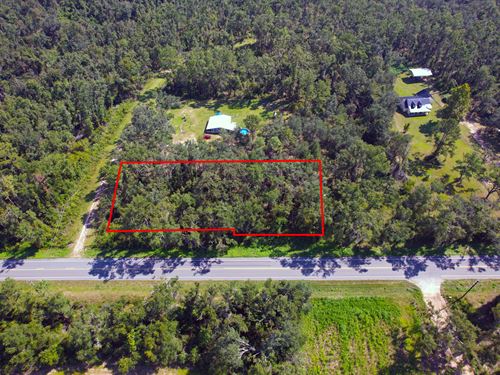 Build-Flexible Residential Land : Jennings : Hamilton County : Florida