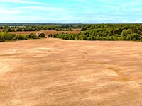 North Mississippi Row Crop Farm : Byhalia : Desoto County : Mississippi