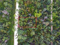 Suwannee River Park Estates Lot : Live Oak : Suwannee County : Florida