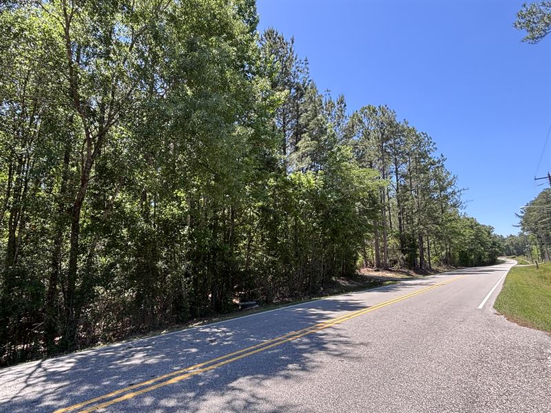 Ray Coaker Highway 41 Acres : Chatom : Washington County : Alabama