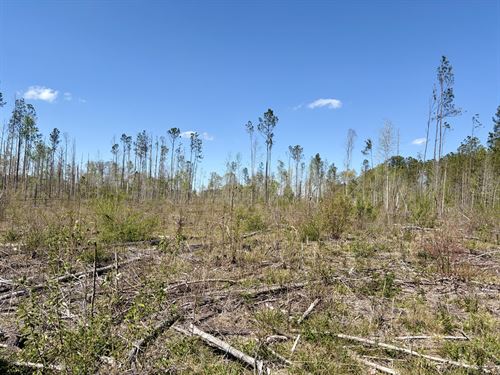 Georgiana Recreation Tract : Georgiana : Butler County : Alabama