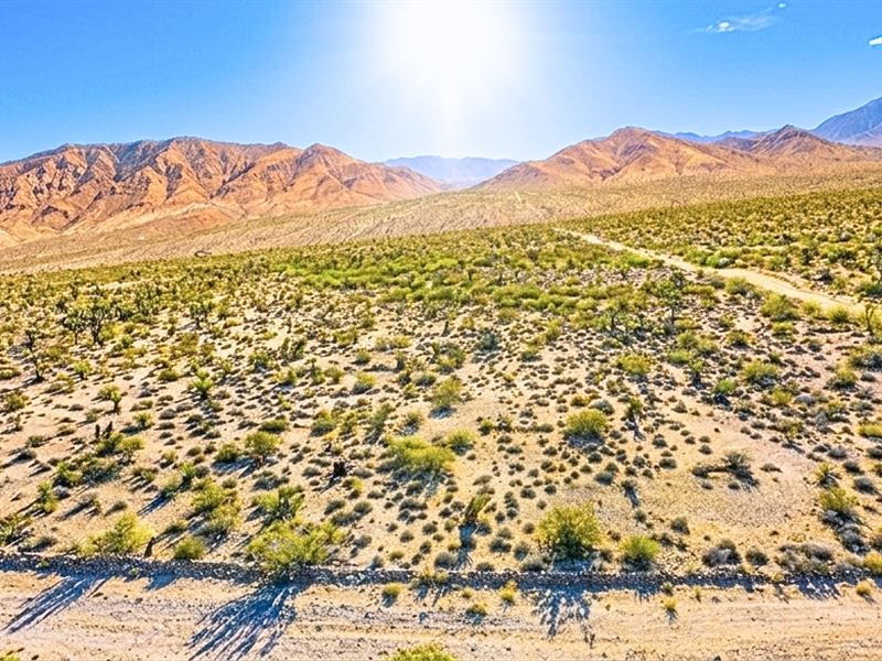 2 Acre Corner Lot in Meadview : Meadview : Mohave County : Arizona