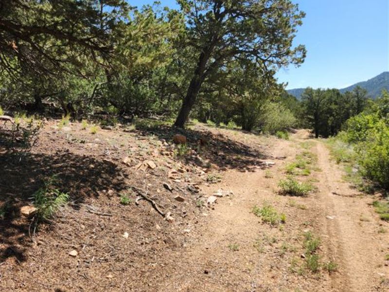 Cotopaxi Mountain Land, No HOA : Cotopaxi : Fremont County : Colorado