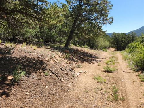 Cotopaxi Mountain Land, No HOA : Cotopaxi : Fremont County : Colorado