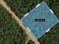 Mountain Land for Sale in Colorado : Fort Garland : Costilla County : Colorado