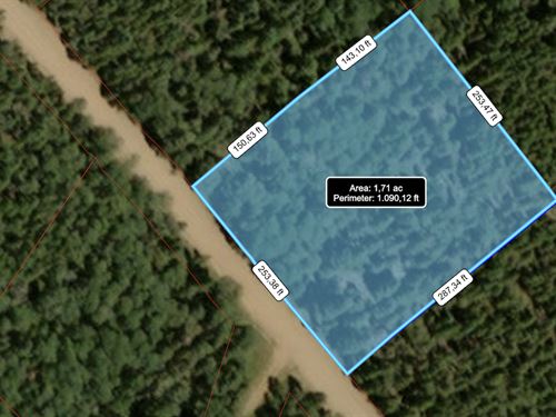Mountain Land for Sale in Colorado : Fort Garland : Costilla County : Colorado