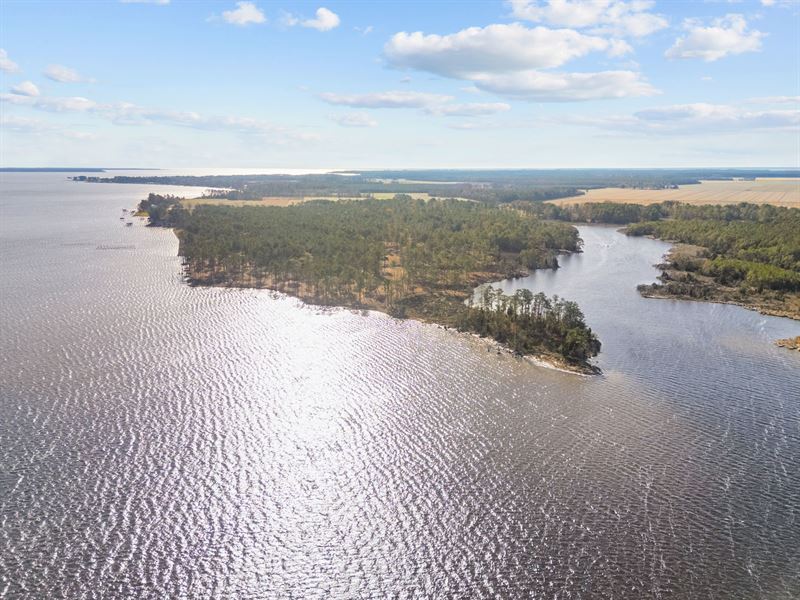 Belhaven NC Waterfront Land : Belhaven : Beaufort County : North Carolina