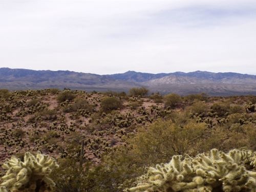 Your Arizona Retirement Land Awaits : Wikieup : Mohave County : Arizona