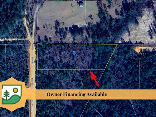 Large Lot in Panhandle : Marianna : Jackson County : Florida