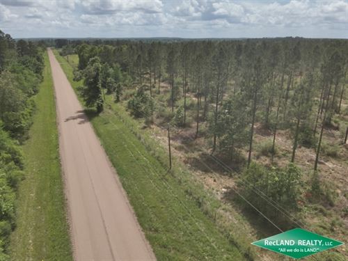 64 ac, Timberland for Home Site : Huntington : Angelina County : Texas