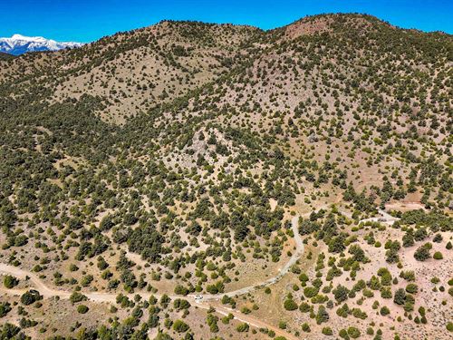 40 Acres in Reno, NV : Reno : Storey County : Nevada