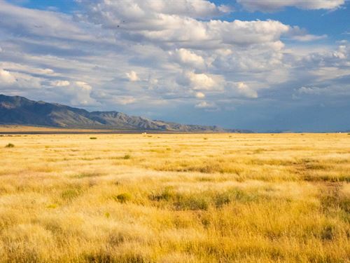 High Desert Quiet, All Yours : Los Lunas : Valencia County : New Mexico